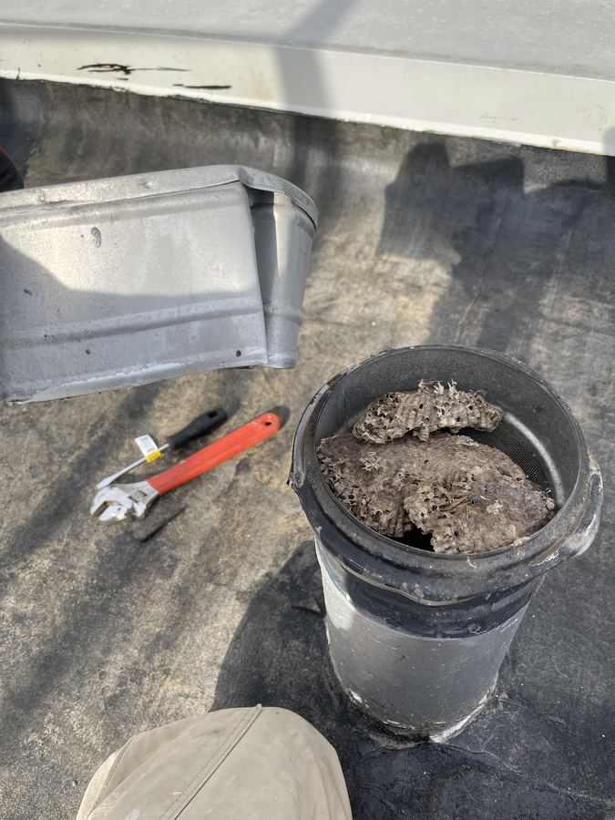 Wasp nest removed from rooftop vent pipe